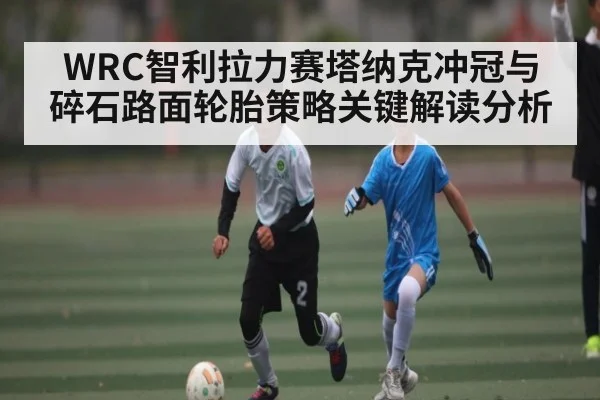 WRC智利拉力赛塔纳克冲冠与碎石路面轮胎策略关键解读分析