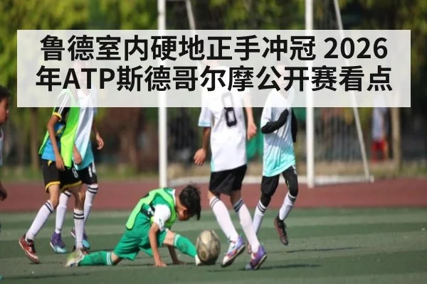 鲁德室内硬地正手冲冠 2026年ATP斯德哥尔摩公开赛看点